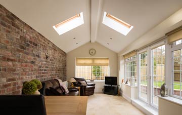 conservatory roof insulation Lower Ashtead, Surrey